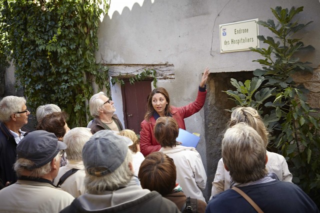 Visites guidées et excursions