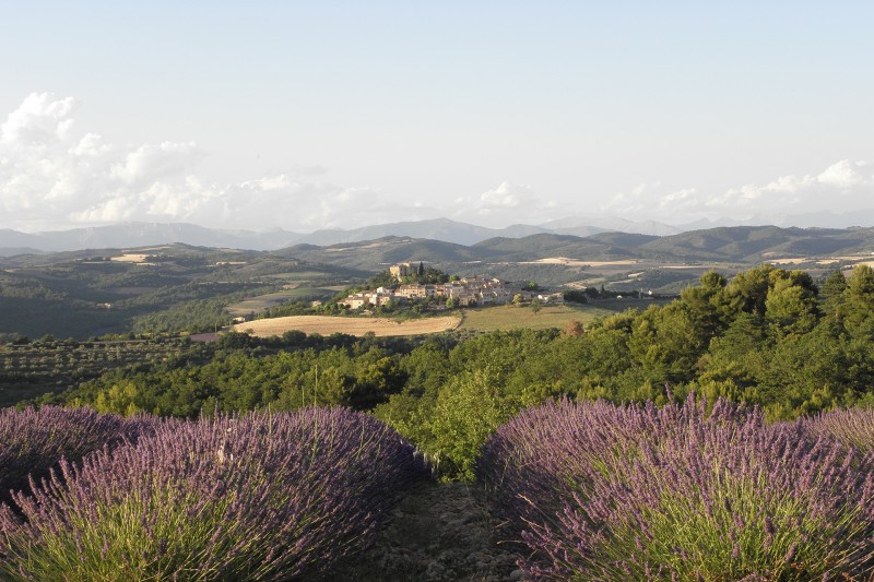 Village perché dominant les collines et les champs de lavande
