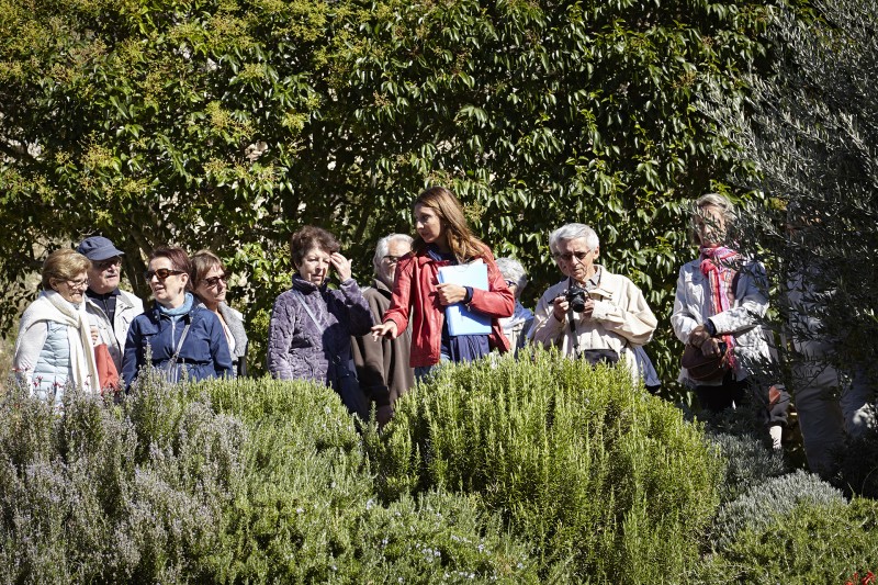 Visites guid&eacute;es