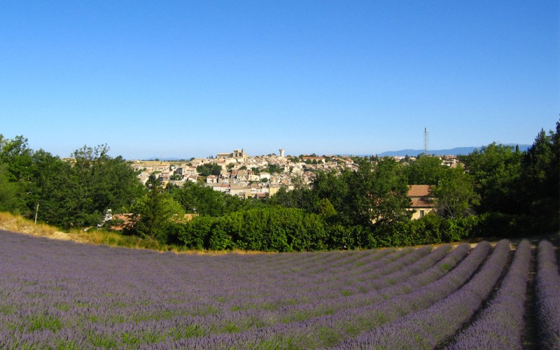 Valensole