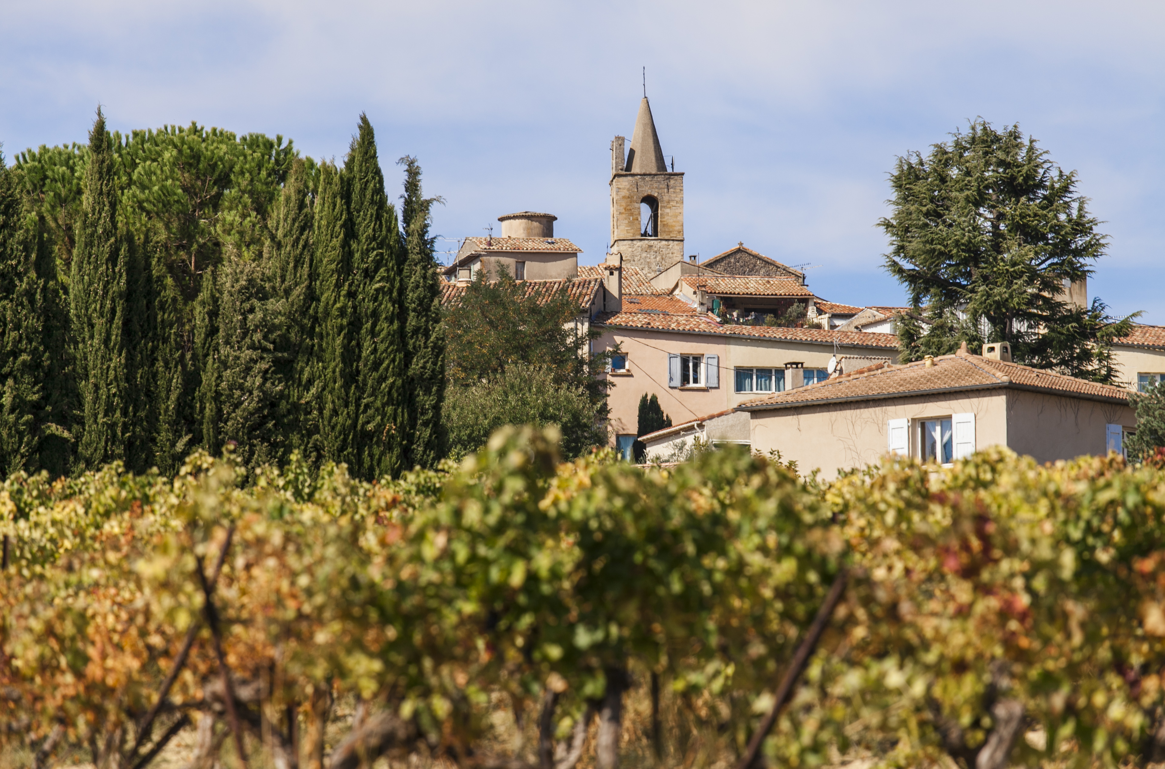 Le village de Pierrevert au-dessus des vignes