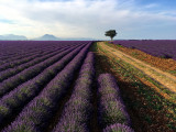 Aéronefs & Aérostats de Provence