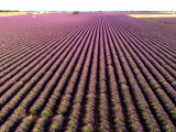 Aéronefs & Aérostats de Provence