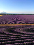 Aéronefs & Aérostats de Provence