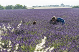 T.VERGOZ_VALENSOLE_PREMIER_48 (1) - © DR T.VERGOZ T.VERGOZ_VALENSOLE_PREMIER_48 (1)