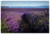 Domaine Les Grandes Marges