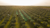 Domaine Les Grandes Marges - © DR : domaine les grandes marges Domaine Les Grandes Marges