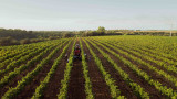 Domaine Les Grandes Marges - © DR : domaine les grandes marges Domaine Les Grandes Marges