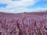 Domaine Les Grandes Marges - © DR : domaine les grandes marges Domaine Les Grandes Marges
