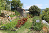 Potager en permaculture valsaintes Potager en permaculture valsaintes