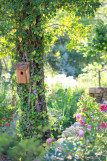 Garten der Abtei von Valsaintes_Simiane-la-Rotonde Garten der Abtei von Valsaintes_Simiane-la-Rotonde