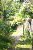 Garten der Abtei von Valsaintes_Simiane-la-Rotonde Garten der Abtei von Valsaintes_Simiane-la-Rotonde