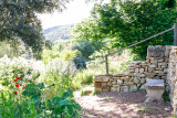 Garten der Abtei von Valsaintes_Simiane-la-Rotonde Garten der Abtei von Valsaintes_Simiane-la-Rotonde
