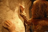 bison_segries
