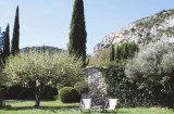 Le jardin