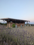 cabane