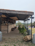 cabane