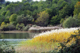 Le lac de Montpezat