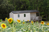 Mobil home 4-6 Personnes