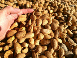 Domaine Les Grandes Marges