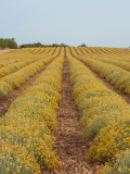 Domaine Les Grandes Marges