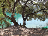 Verdon Canoë Paddle