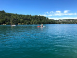 Verdon Canoë Paddle