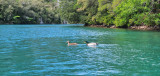 Verdon Canoë Paddle