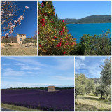 L’Olivade