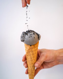 SESAME SESAME