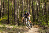 MTB track 45 Provence Verdon