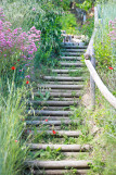 vue du jardin - © valsaintes vue du jardin