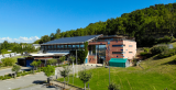 Ciel d'Azur Labs_Mane