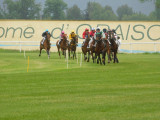 Trot monté