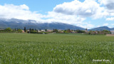 Puimoisson