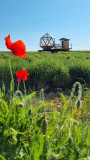 La Bulle Ico_Valensole - © DR La Bulle Ico_Valensole La Bulle Ico_Valensole
