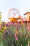 La Bulle Ico_Valensole - © 2025 Orama Photo, all rights reserved. La Bulle Ico_Valensole