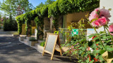 Camping Rose de Provence Camping Rose de Provence