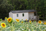 Mobil home 4-6 Personnes