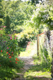Jardin de l'abbaye de Valsaintes_Simiane-la-Rotonde Jardin de l'abbaye de Valsaintes_Simiane-la-Rotonde