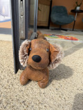 Mascotte Mascotte