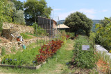 Potager en permaculture valsaintes Potager en permaculture valsaintes