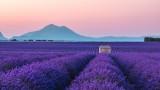 Cabanon sur el Plateau de Valensole Cabanon sur el Plateau de Valensole