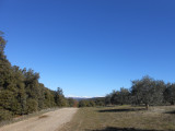 Vue