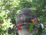 Cupule de la fontaine de la place Itard