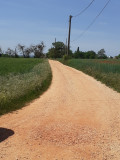 Chemin d accès à la roulotte