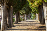Visite libre du village de Riez