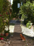 Montée de Misonis