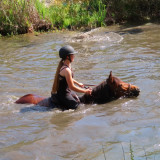 Randonnées à cheval