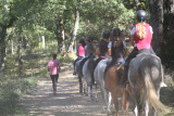Trec